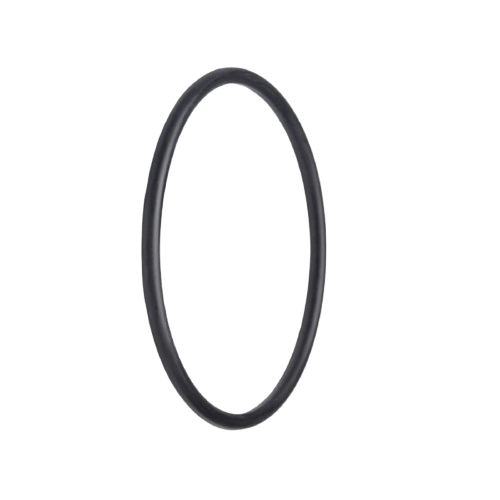 O-Ring Filter Gard 3/4" con Bypass