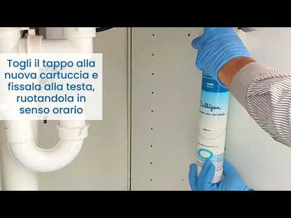Culligan filtro Aqua-Cleer rimozione arsenico